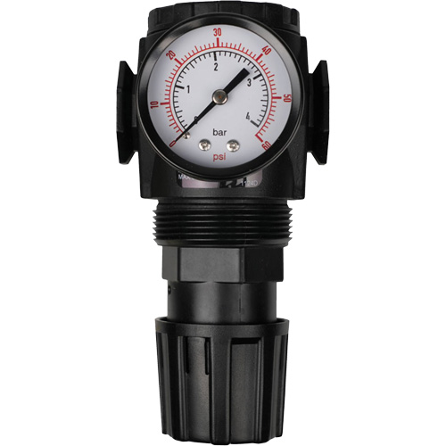 MODULAIR 300 Compressed Air Regulator, 1/2" NPT, 300 psi Max. PSI, In Line/Modular Planification Entrepots Molloy
