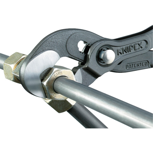 Raptor Pliers, 10" Planification Entrepots Molloy