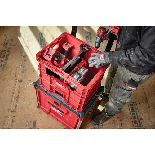 Caisse Packout, 15-3/4" x 18-5/8" x 15", Noir/Rouge Planification Entrepots Molloy