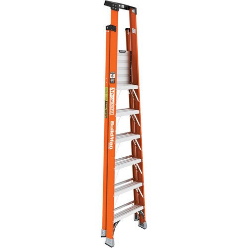 Escabeau avec plateforme Safespace, 6', Cap. De 300 lb Planification Entrepots Molloy