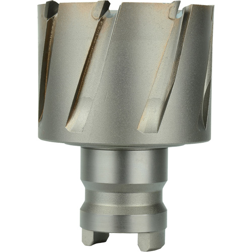 Fraise avec tenon &agrave; changement rapide Drive Hawg, Diam&egrave;tre de 13/16", Carbure, Profondeur de la coupe de 1", Tige 3/4" Planification Entrepots Molloy