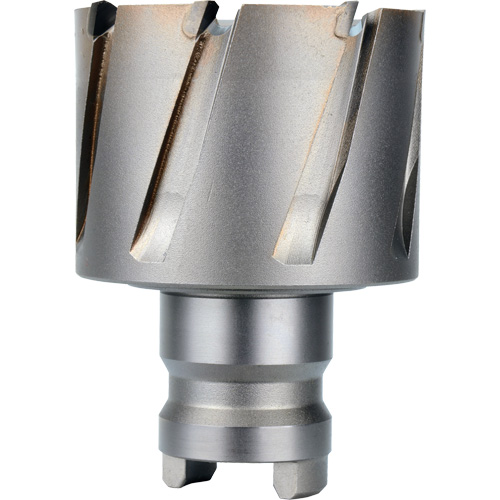 Quick Change Tang Drive Hawg&reg; Cutter, 2" Diameter, Steel, 1" Depth of Cut Planification Entrepots Molloy