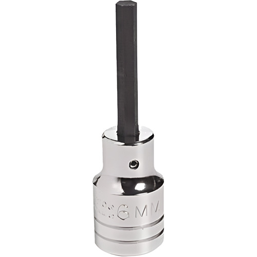 Embout &agrave; ins&eacute;rer, Hexagonale, 18 mm x 4" lo, Prise 1/2" Planification Entrepots Molloy