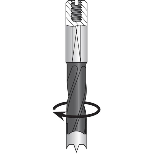 Foret &agrave; percer, Carbure Planification Entrepots Molloy