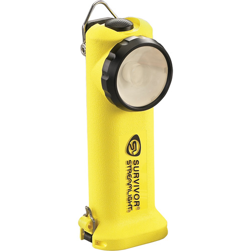 Lampe de poche Survivor, DEL, 175 lumens, Piles Rechargeable Planification Entrepots Molloy