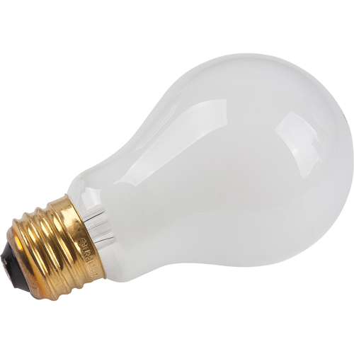 Economy Line Incandescent Lamps Planification Entrepots Molloy