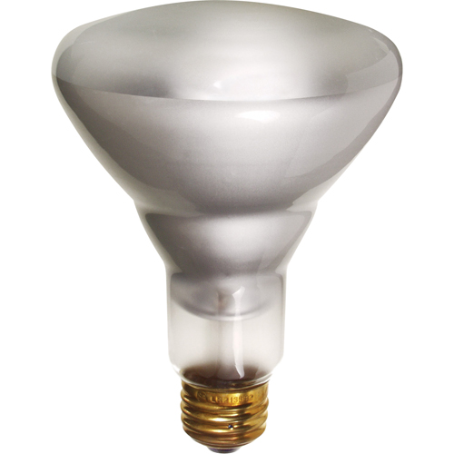 Economy Line Incandescent Lamps Planification Entrepots Molloy