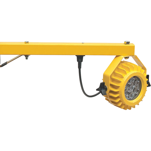 Heavy-Duty Loading Dock Lights, 40" Arm, 300 W, LED Lamp, Metal Planification Entrepots Molloy