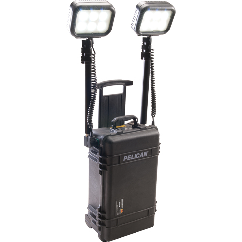9460 Remote Area Lighting Systems, LED, 12,000 Lumens, Plastic Housing Planification Entrepots Molloy