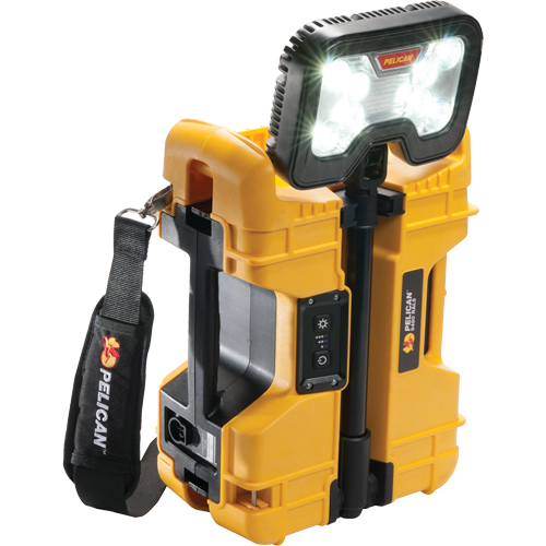 9480 Remote Area Lighting Systems, LED, 41.1 W, 4000 Lumens, Plastic Housing Planification Entrepots Molloy