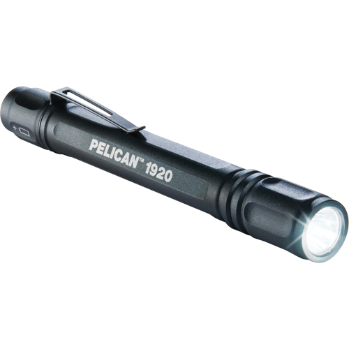 1920 ProGear Flashlights, LED, 120 Lumens, AAA Batteries Planification Entrepots Molloy