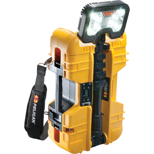 9490 Remote Area Lighting Systems, LED, 53.3 W, 6000 Lumens, Plastic Housing Planification Entrepots Molloy