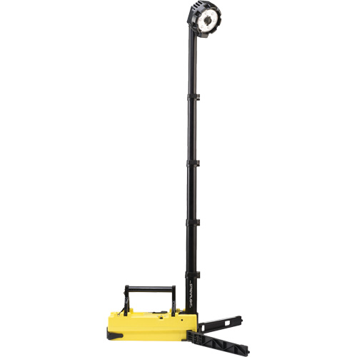 Lampes de sc&egrave;ne portables et rechargeables, DEL, 36 W, 5300 lumens, Boîtier en Plastique Planification Entrepots Molloy
