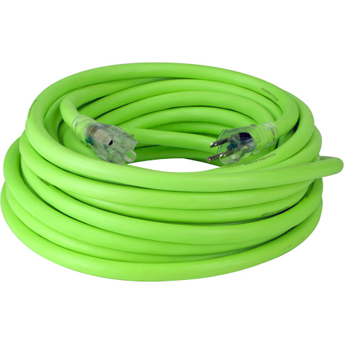 Cordon rallonge industriel Flexzilla Pro, Toutes saisons, SJTW, AWG 10/3, 15 A, 50' Planification Entrepots Molloy