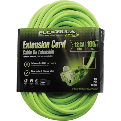 Cordon rallonge industriel Flexzilla Pro, Toutes saisons, SJTW, AWG 12/3, 15 A, 100' Planification Entrepots Molloy
