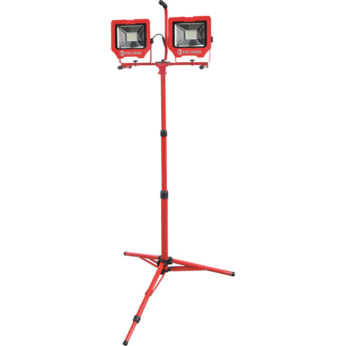 Baladeuses jumel&eacute;es avec tr&eacute;pied, DEL, 72 W, 8000 lumens, Boîtier en Aluminium Planification Entrepots Molloy