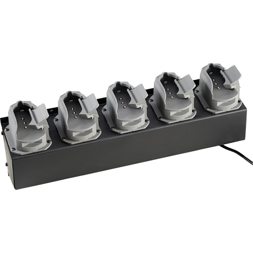Chargeur de batteries de lampe de poche Survivor X Planification Entrepots Molloy