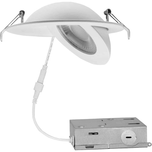 Luminaire &agrave; cardan, DEL, 120 V, 9 W Planification Entrepots Molloy