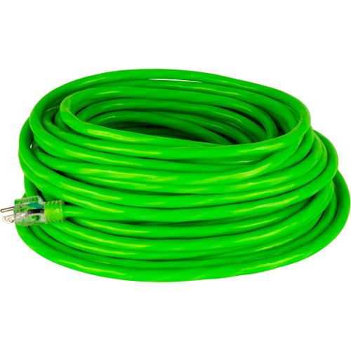 Cordon rallonge de calibre industriel, Toutes saisons, SJTW, AWG 10/3, 15 A, 100' Planification Entrepots Molloy
