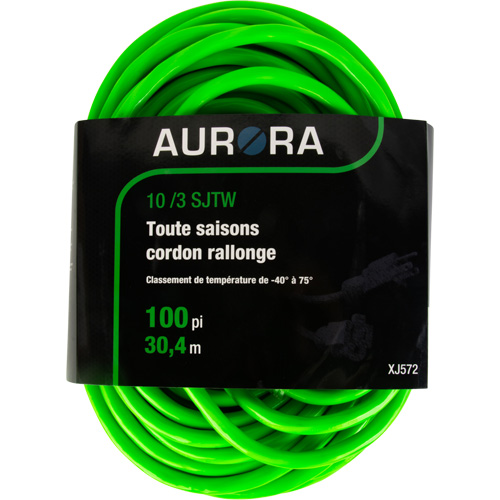 Cordon rallonge de calibre industriel, Toutes saisons, SJTW, AWG 10/3, 15 A, 100' Planification Entrepots Molloy