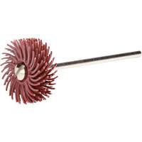 Scotch-Brite Radial Bristle Discs, P220X Grit, 3/4" Dia. Planification Entrepots Molloy