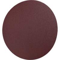 Disque en toile PSA 248D, 12" dia., Grain 36, Oxyde d'aluminium Planification Entrepots Molloy