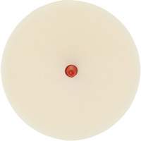 Disque pour enlever les bandes et les adh&eacute;sifs pour moulures Scotch-Brite, 4" dia. Planification Entrepots Molloy