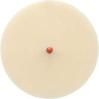 Disque Scotch-Brite 7502 pour retrait de colle et de bandes de moulage, 6" dia. Planification Entrepots Molloy