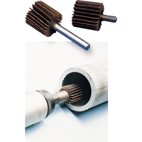 General Purpose Flap Wheel, Aluminum Oxide, 60 Grit, 2" x 1" x 1/4" Planification Entrepots Molloy