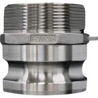 Cam & Groove Coupling, Stainless Steel, Type F, 2-1/2", Male NPT, 150 PSI Planification Entrepots Molloy