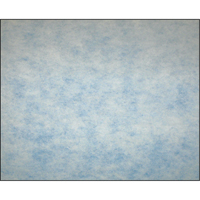 High-Arrestance Synthetic Media Filters, Pad, MERV 5, 24" W x 2" D x 12" H Planification Entrepots Molloy