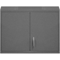 Armoire murale, 27" h x 29-7/8" la x 13-11/16" p, 2 tablettes, Acier, Gris Planification Entrepots Molloy
