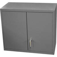 Armoire murale, 27" h x 13-11/16" la x 35-7/8" p, 2 tablettes, Acier, Gris Planification Entrepots Molloy
