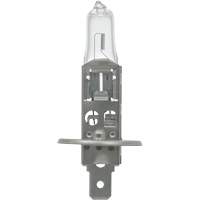 64155 Ampoule automobile de base, Halog&egrave;ne, 78 W, Blanc cass&eacute; Planification Entrepots Molloy