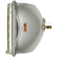 Phare automobile scell&eacute; de base H6054, 35 W, Blanc Planification Entrepots Molloy