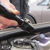 Rechargeable UV Flashlight Planification Entrepots Molloy
