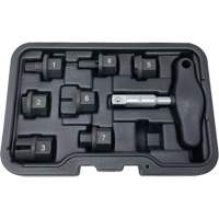 8 Pc. Oil Drain Plug Kit Planification Entrepots Molloy