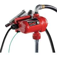 Pompe de transfert de carburant 12 V CC avec pistolet Planification Entrepots Molloy