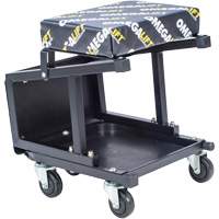 2-in-1 Seat-Stool Combo Planification Entrepots Molloy