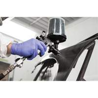 Performance Fine Finish Spray Gun System with PPS Cups, 13 CFM, 29 PSI Planification Entrepots Molloy