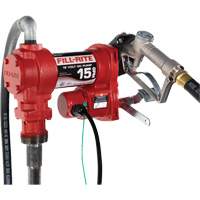 12V DC Fuel Transfer Pump with Nozzle Planification Entrepots Molloy