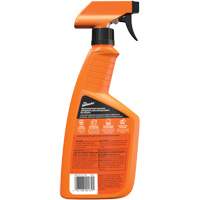 Nettoyant automobile tout usage, 16 oz/473 ml, Bouteille &agrave; g&acirc;chette Planification Entrepots Molloy