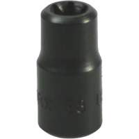 E-8 Torx&reg; Socket Planification Entrepots Molloy