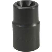 E-18 Torx&reg; Socket Planification Entrepots Molloy