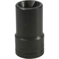 E-20 Torx&reg; Socket Planification Entrepots Molloy