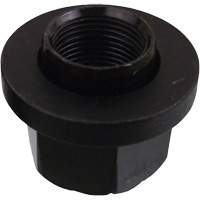10-Piece Graphite-Coated Skirt Nuts for Pilot Hub Wheels Planification Entrepots Molloy