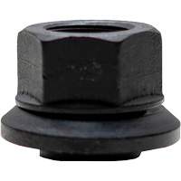 10-Piece Graphite-Coated Skirt Nuts for Pilot Hub Wheels Planification Entrepots Molloy