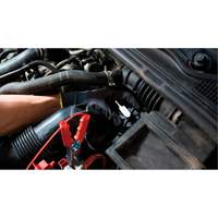 Tall Frame Brake-Pro Pressure Brake Bleeder with Adapters Planification Entrepots Molloy