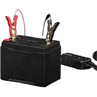 Group 31 120Ah Lithium-Ion LiFePO4 Dual-Purpose Battery Planification Entrepots Molloy