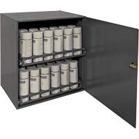 Aerosol Storage Cabinet, Steel, 21-7/8" H x 15-15/16" W x 20-5/16" D, Grey Planification Entrepots Molloy